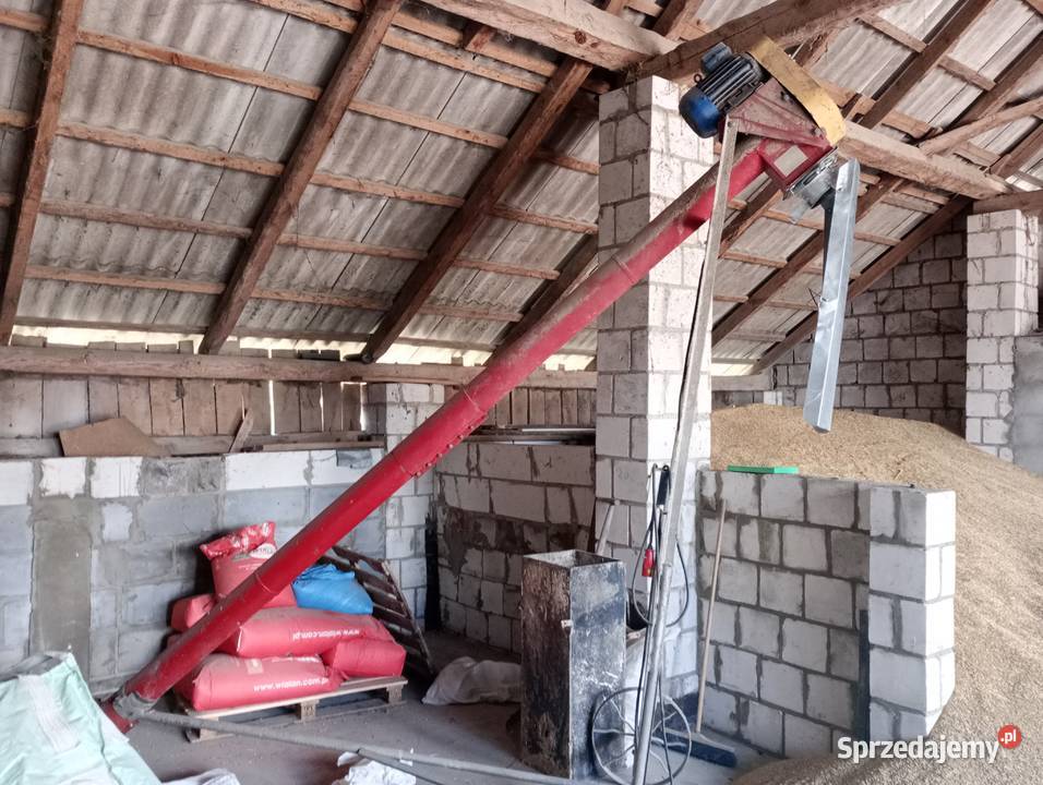 Żmijka do zboża 4 m 140 pół Augustów Skaryszew