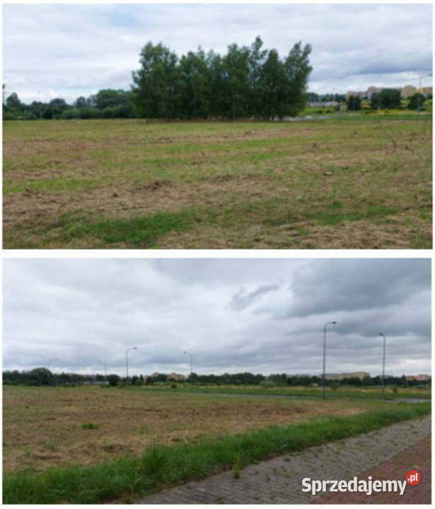 SzczawnoZdrój sprzedaż działki aukcja dolnośląskie