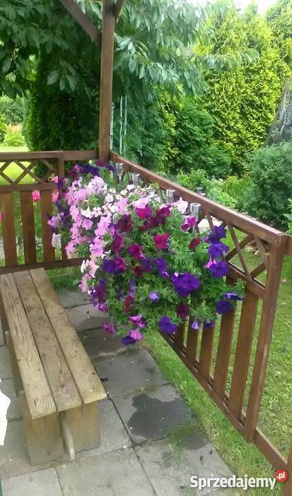 Sprzedam Ogródek działkowy Bytom Łagiewniki Rod