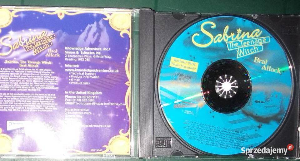 Sabrina nastoletnia czarownica the teenage witch