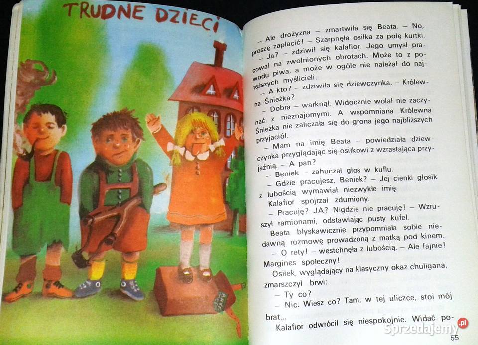 Nie głaskać kota pod włos Krystyna Boglar Chełm