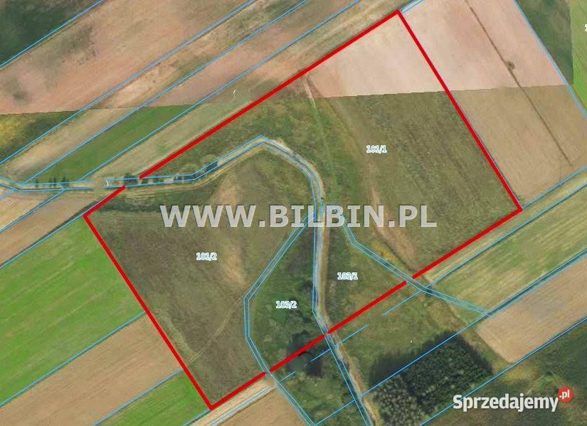 Sprzedaż działki 50560m2 Małe Raczki 46168m2 Sprzedaż