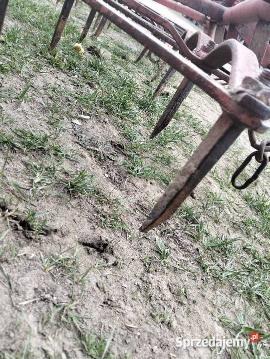 Brony 3 Grudziądzkie Huta Koszary sprzedam