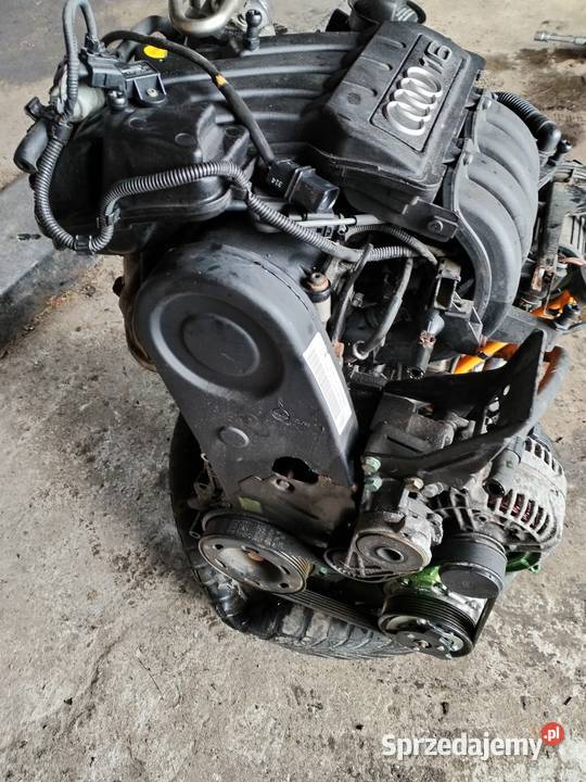 Silnik audi vw 16 mpi BGU Chęciny