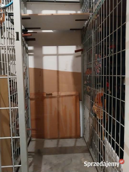 Do wynajecia piwnica komorka PORANNA dolnośląskie