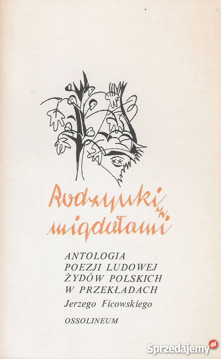 Rodzynki z migdałami lubelskie Puławy