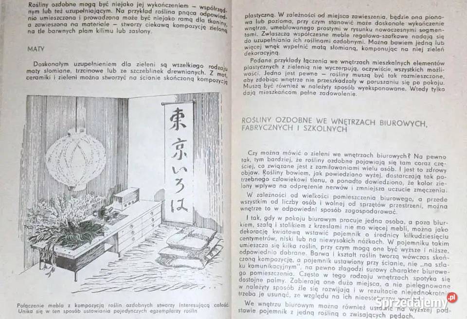 Mieszkanie w zieleni i kwiatach K Muszyński