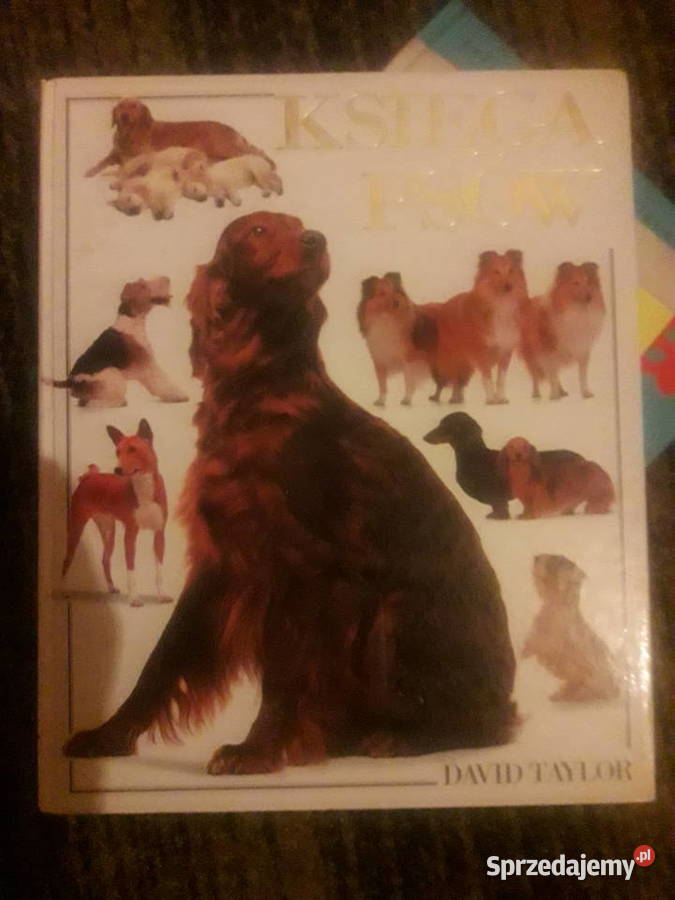 Księga psów David Taylor Warszawa sprzedam
