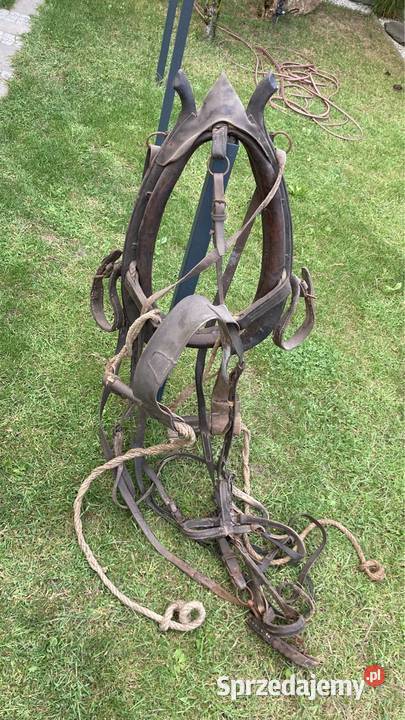 Jarzmo chomąto konia Warszawa