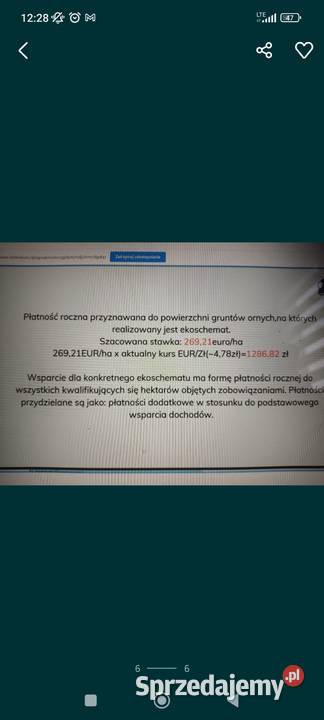 zapylanie upraw facelia nostrzyk ogórecznik Łomża