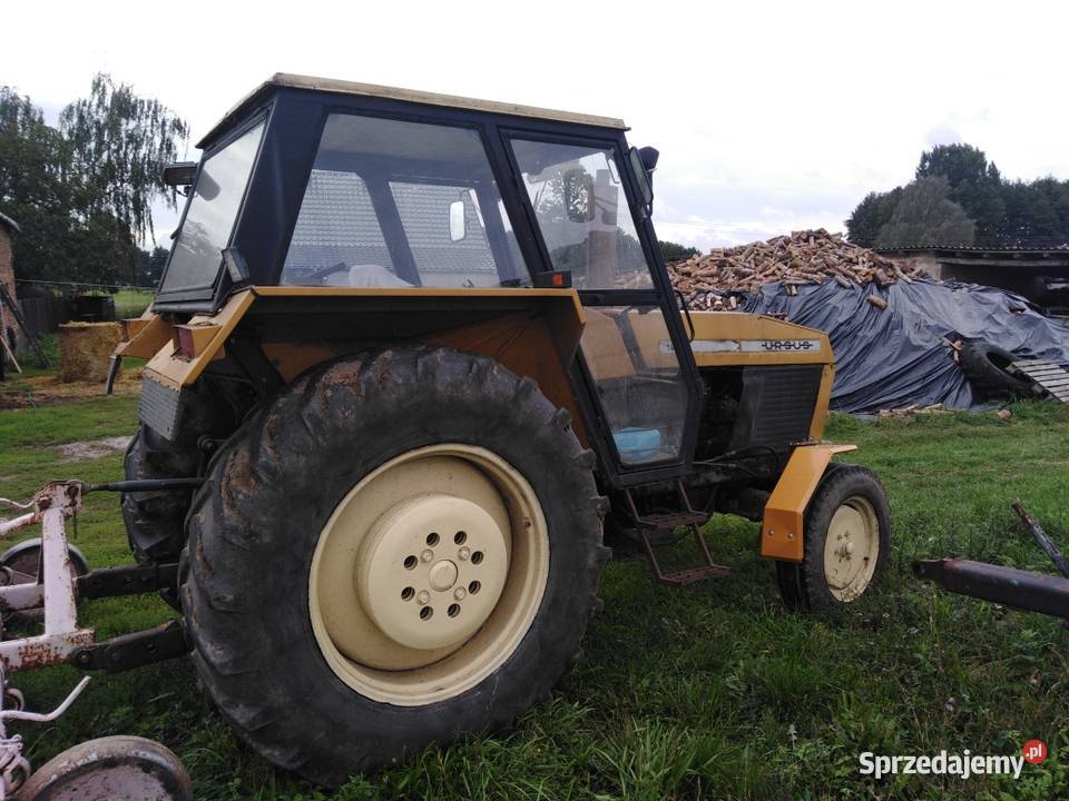 Sprzedam ciągnik rolniczy Ursus 1012 r 1984 wielkopolskie Włoszakowice