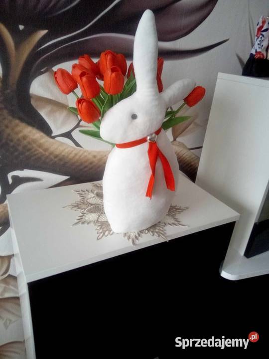 MIĘCIUTKI KRÓLIK ZAJĄC 40 Nowy Sącz