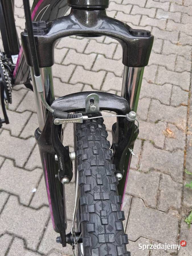 Rower górsku Giant uszkodzona przeżutka wielkopolskie