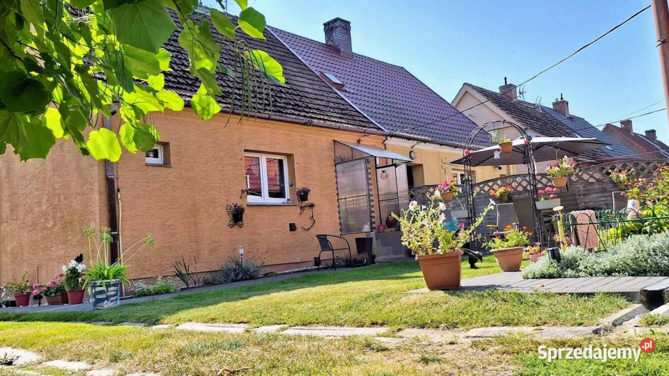 Sprzedam dom bliźniak Golenice 100m2 sprzedam