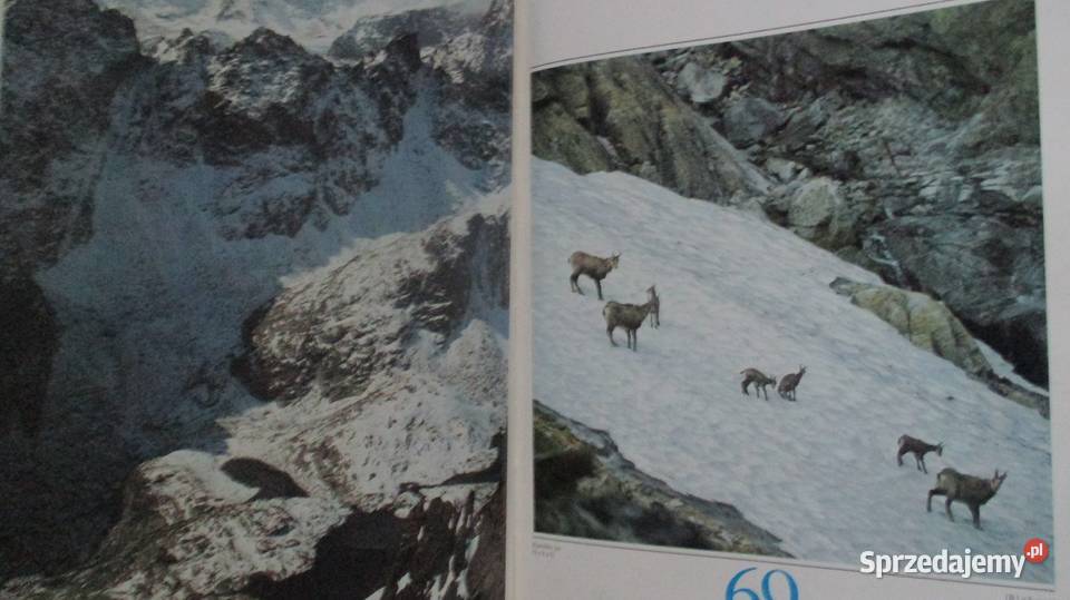 TATRY Zima Sport Krasa Tatry Tatry Wysokie łódzkie Łódź