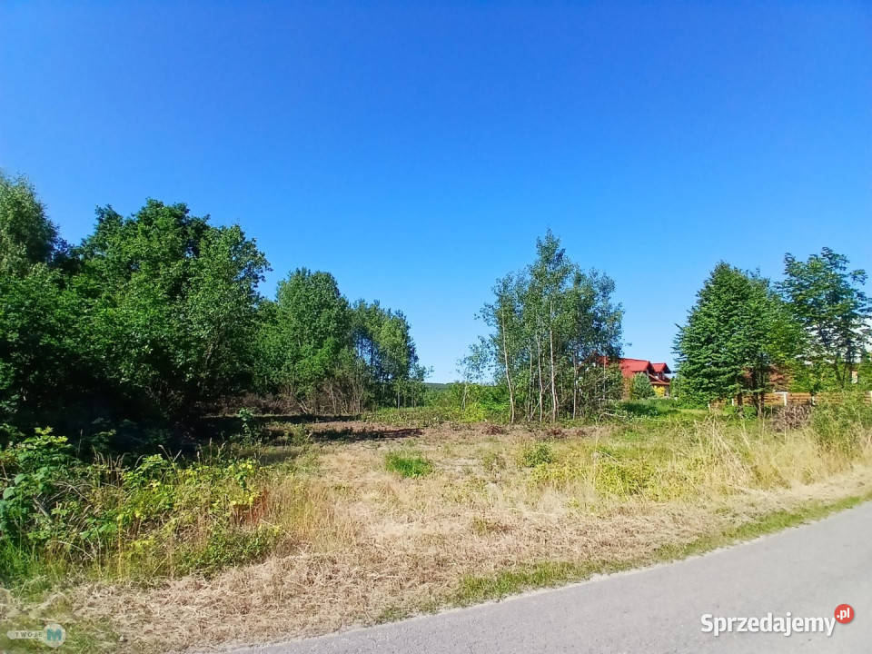 sprzedaży gruntu Raków 9100m2