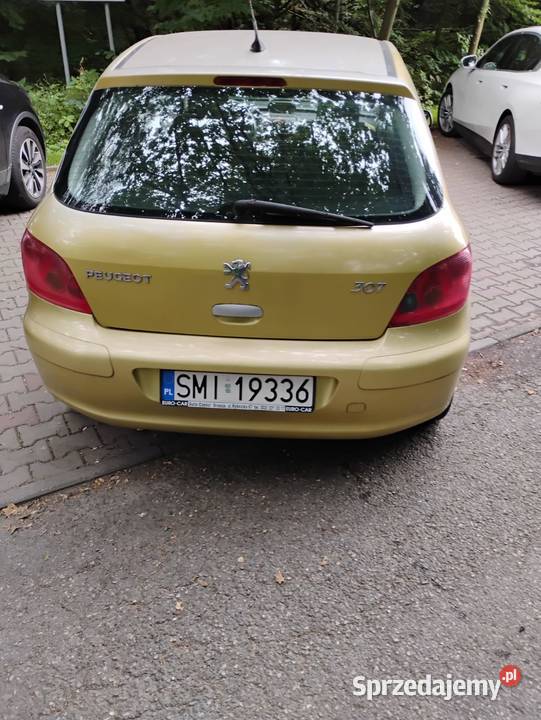 PEUGEOT 307 LPG nieuszkodzony śląskie