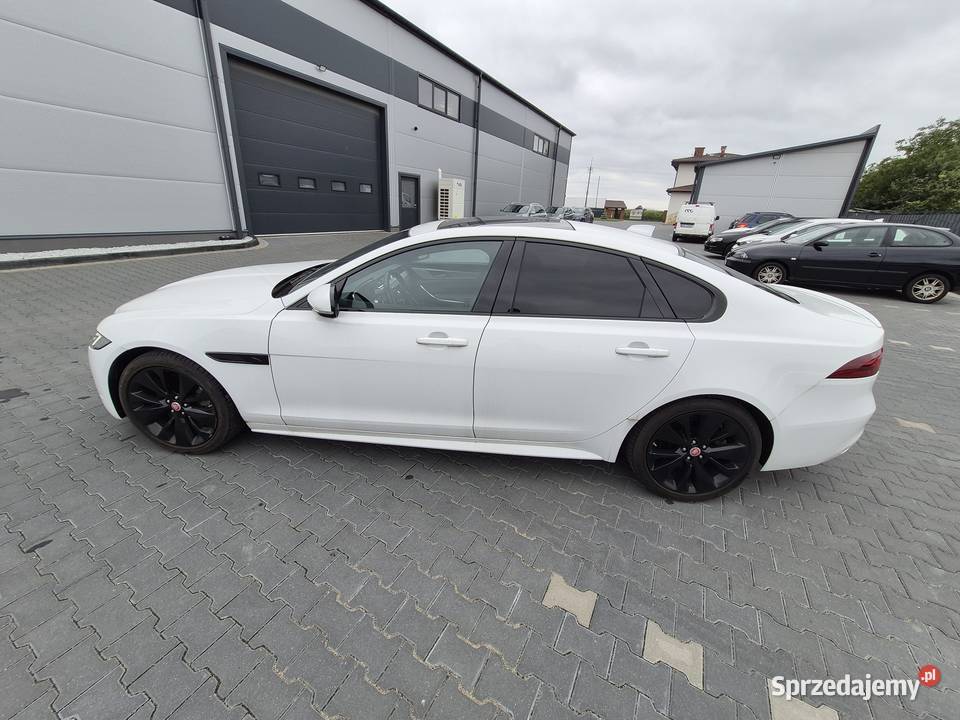 Syndyk sprzeda Jaguar XF 20P I4 250 RWD Auto automatyczna Warszawa