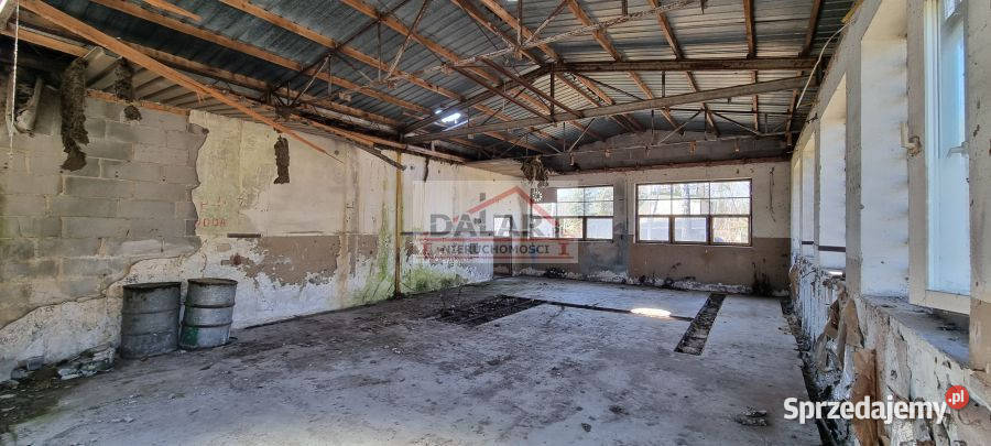 Dom Sierzchów Sierzchów 1200m2 6666zł/m2