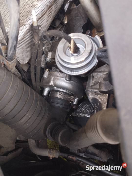 VW pasaat B5 fl 19 2002 Sochaczew