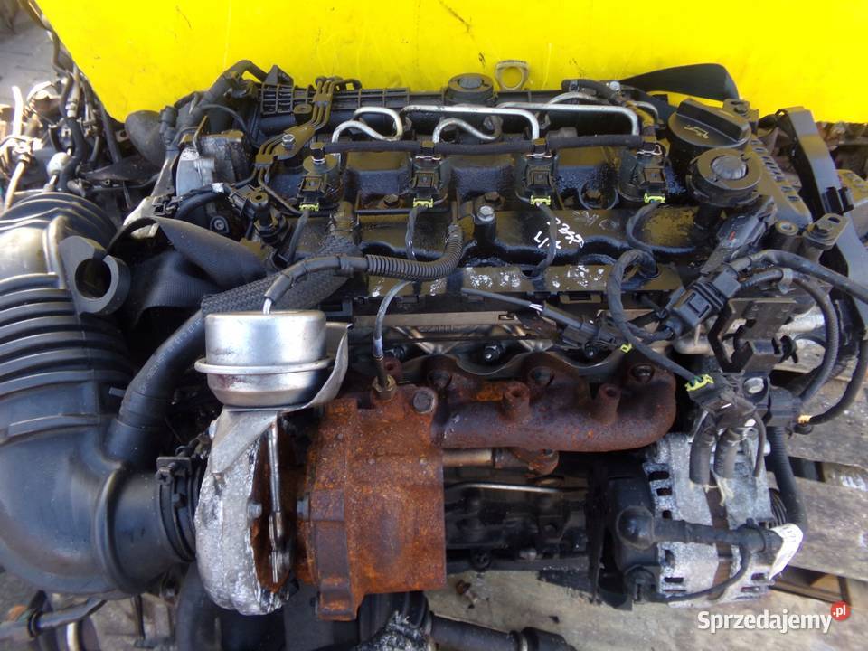 CARENS IV i40 ix35 SPORTAGE TUCSON 17 CRDI EURO Suków