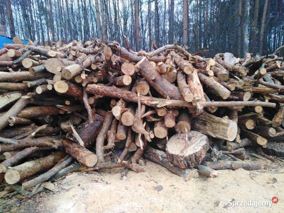 Drewno sosna Włocławek