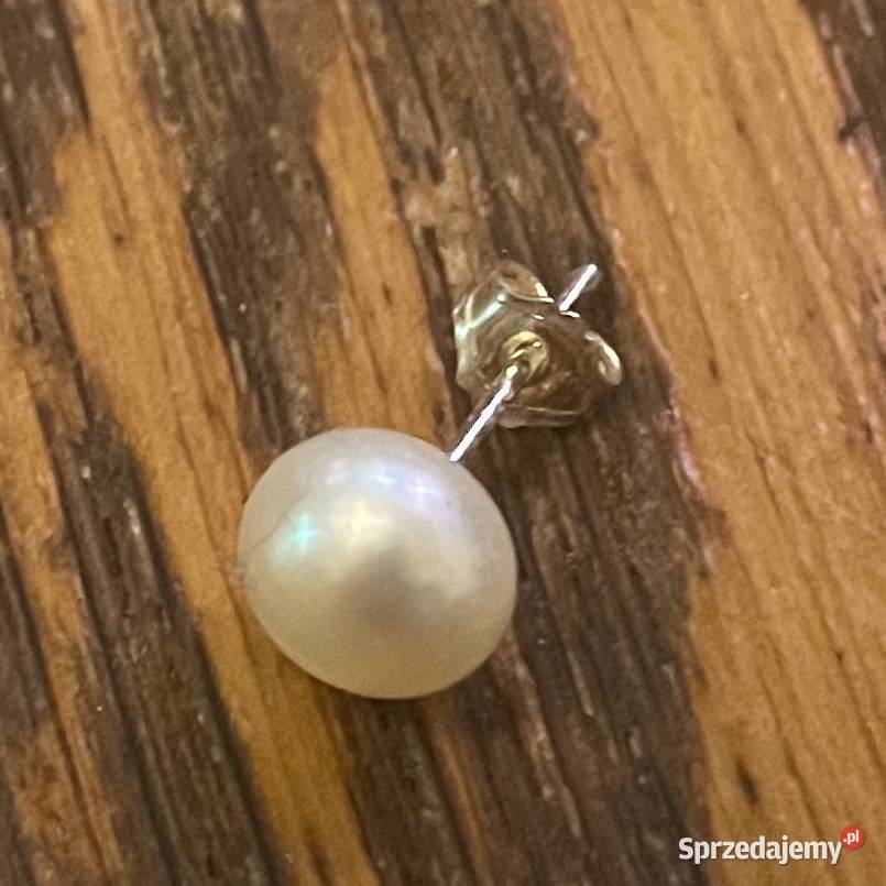 Srebrne kolczyki z perłą Wyprzedaż likwidacja Osiny