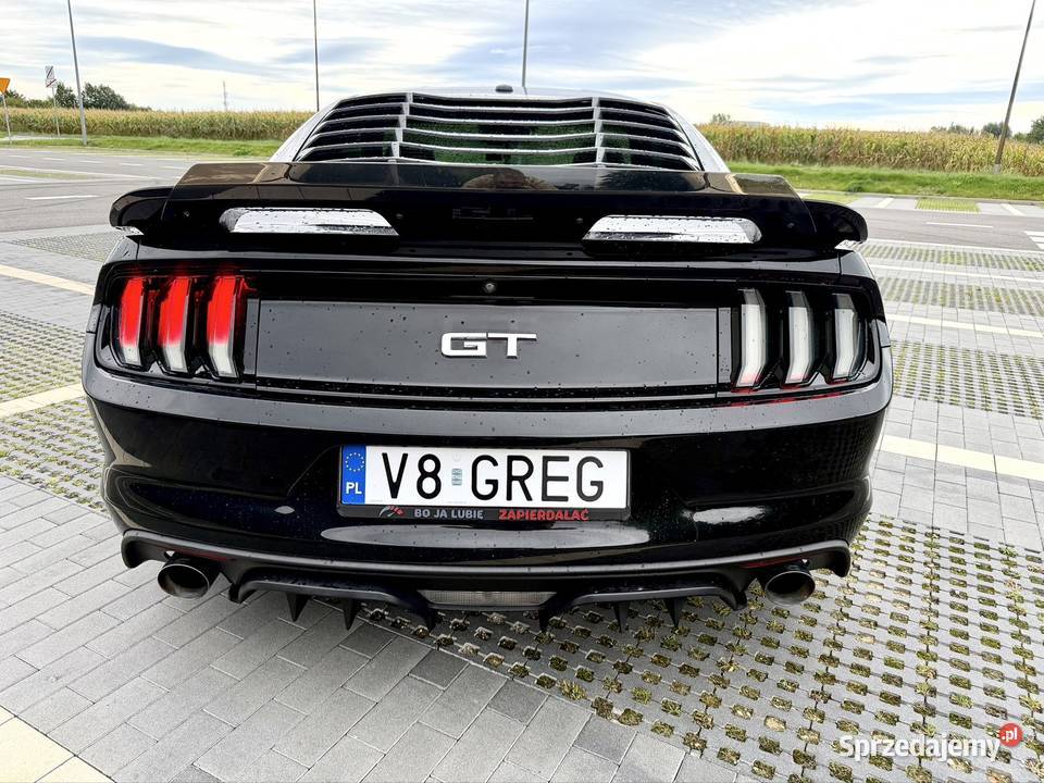 Śliczny Mustang 50 GT V8 2016r bezwypadkowy skórzana tapicerka dolnośląskie Świdnica