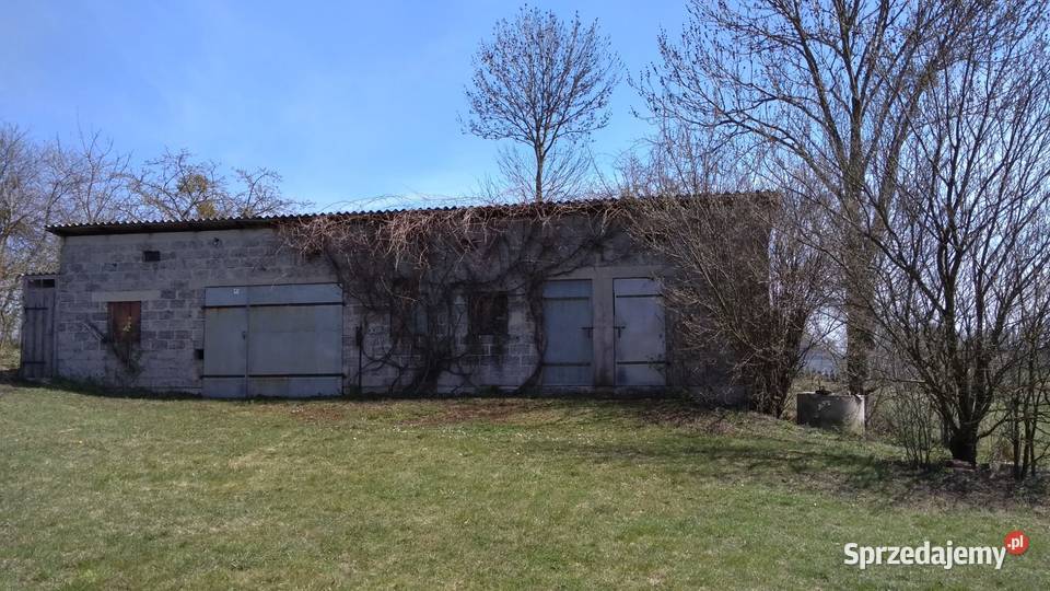 Siedlisko Dom 90 m 65 ar budynki gospodarcze 3 90m2 Hrebenne