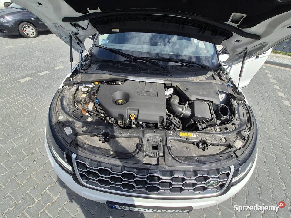 Syndyk sprzeda Land Rover Range Rover Evoque Warszawa