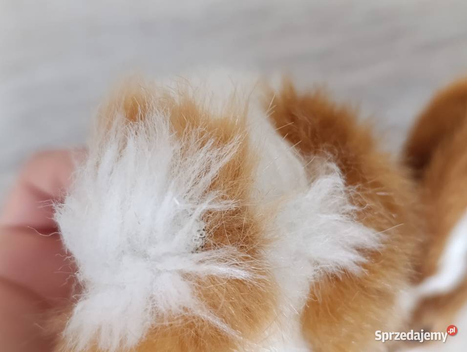 króliczek królik figurka Poznań