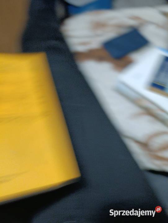 No dno prostu jest Polska autorstwa Adama wielkopolskie Poznań