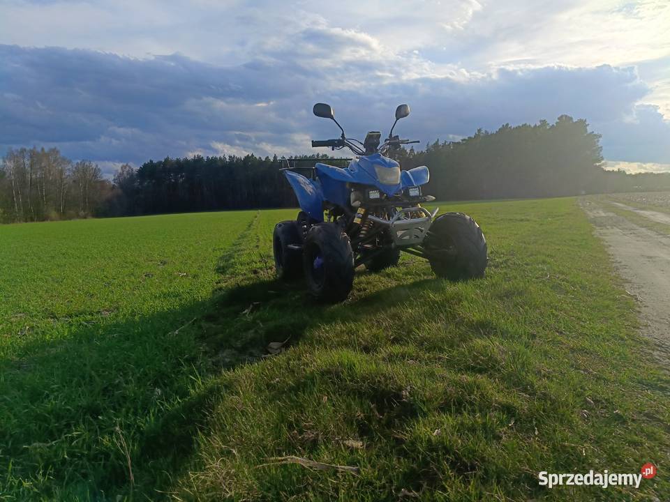 Quad Bashan 250 z homologacją manualna łódzkie Przedłęcze sprzedam