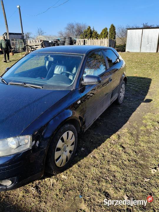 Audi A3 8p 19 TDI 105 BKC