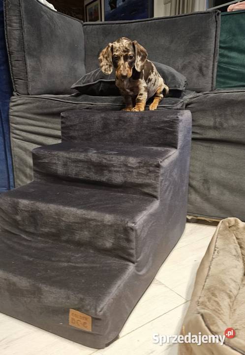 Schody psa kota 30 3 stopnie Mosina