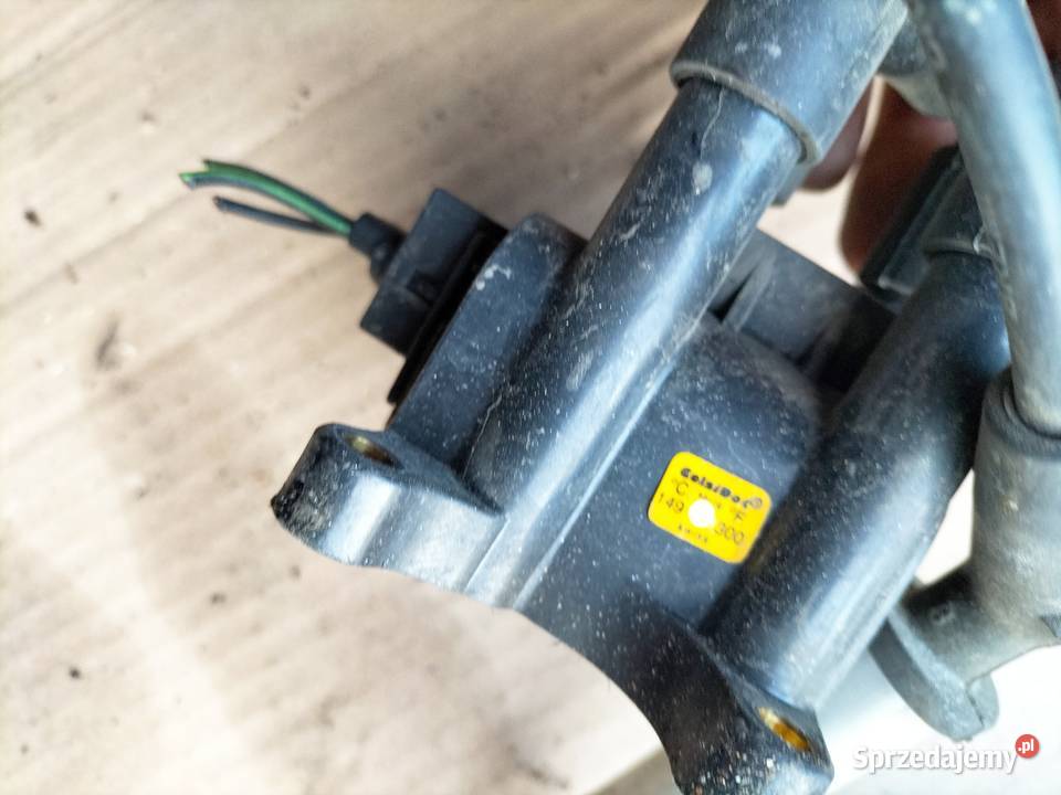 FIESTA MK5 MK6 FUSION MK1 13 14 CEWKA ZAPŁONOWA Kamień-Kolonia sprzedam