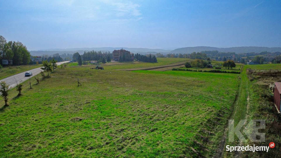 Grunt 3000m2 Czerteż 4zł/m2