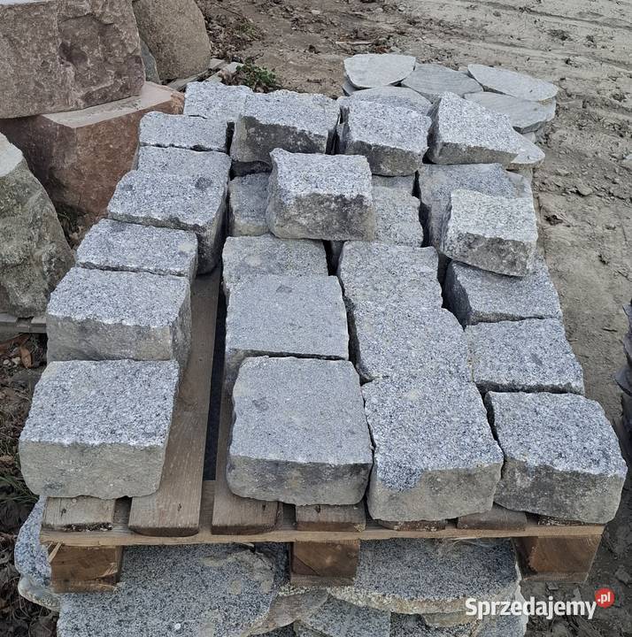 Krostka rzędowa szara łupnieta na pół Prokowo