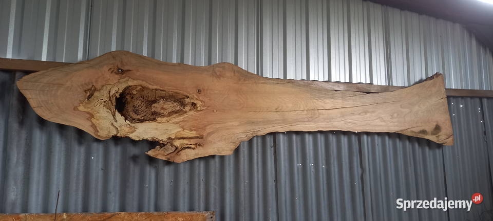 tarcica blat monolit orzech czereśnia olcha