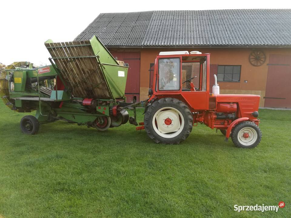 kombajn do ziemniaków Koniecpol