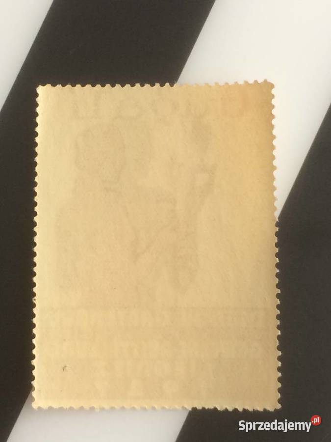 960 Niemiecki Dokumant Legnica Szczecin sprzedam