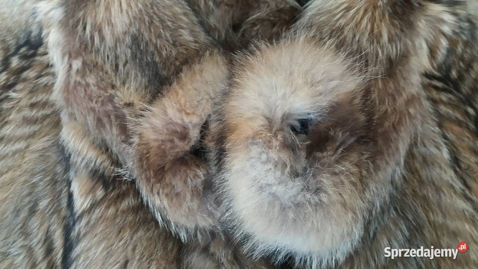Futro naturalne z jenota r 40 42 Wojkowice Kościelne