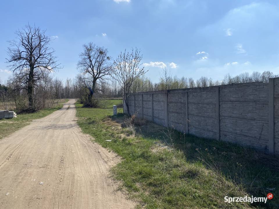 dzialka budowlana 1000m2 wielkopolskie Ślesin