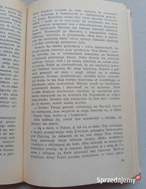Władysław Jan Grabski Saga o jarlu Broniszu Tomy wielkopolskie Koźminek