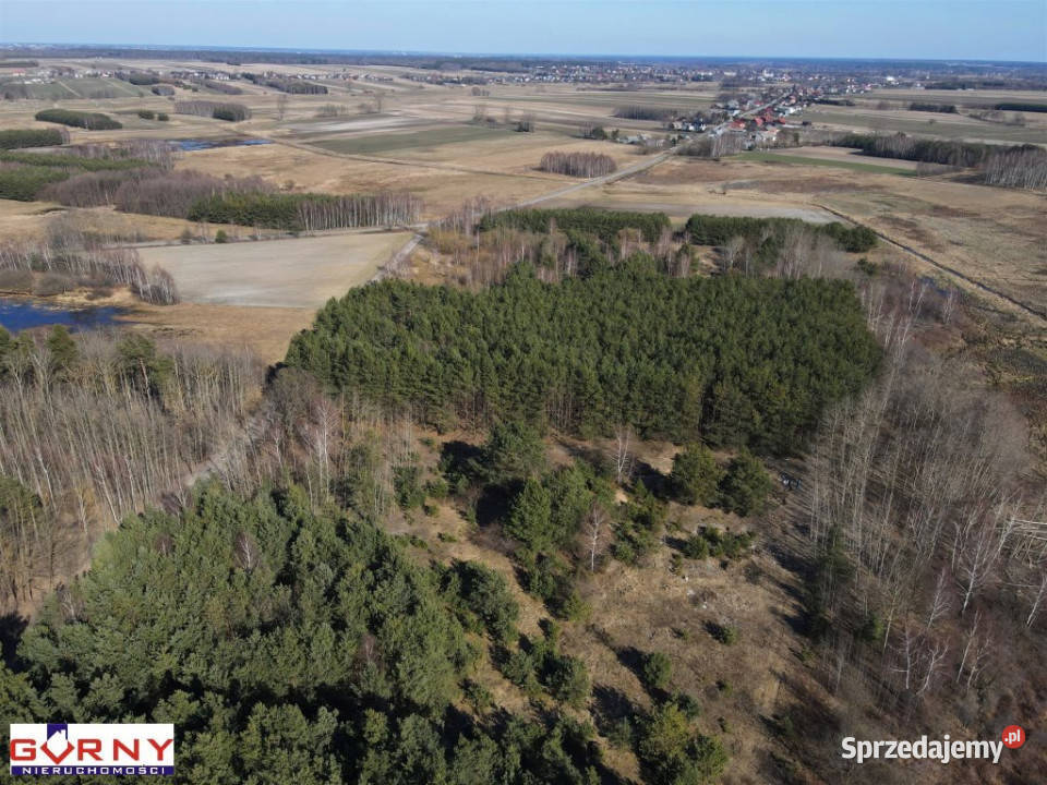 sprzedaży działki 3500 metrów Świerczyńsko