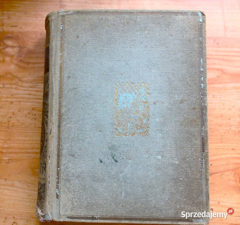 Malarstwo w Polsce XIX do XX wieku Feliks Kopera Antykwariat Gdańsk