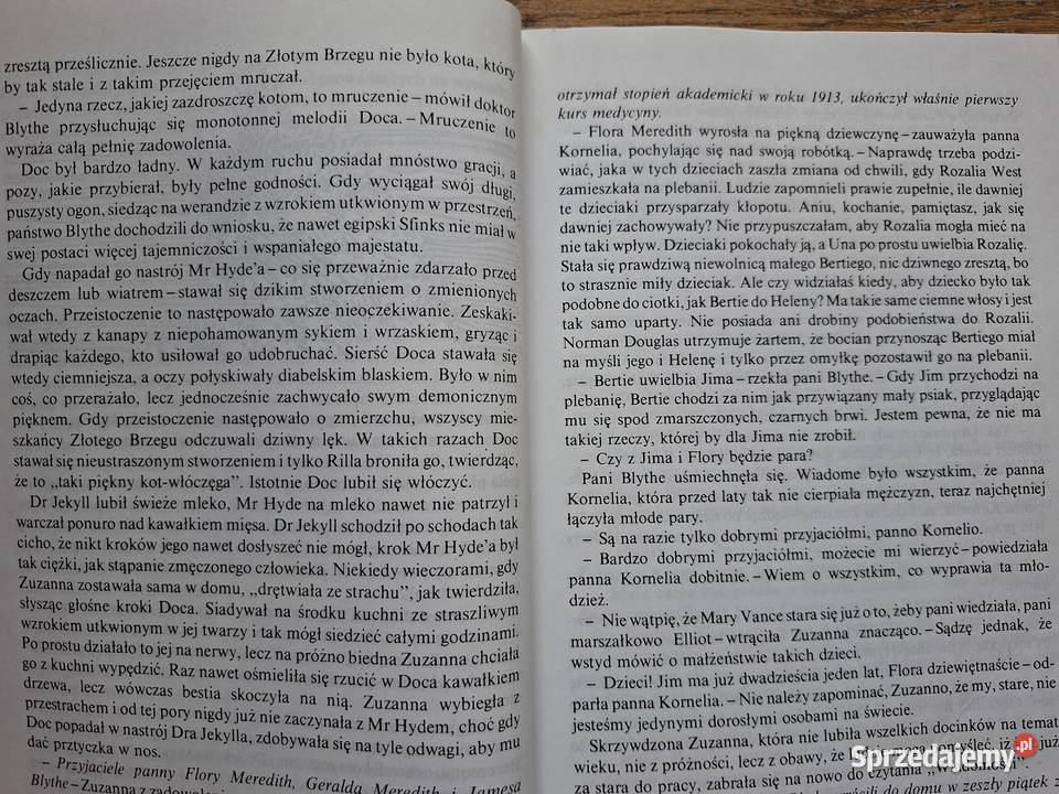 Rilla ze Złotego Brzegu Lucy Maud Montgomery Kraków sprzedam