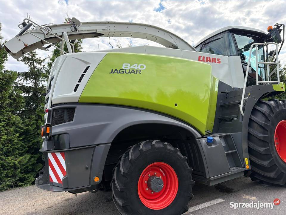 Sieczkarnia do kukurydzy Claas Jaguar 840 4x4 Zbożowe Nowa Ruda