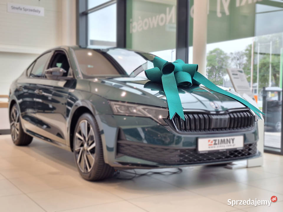 Zielona Duża Kokarda XXL na samochód kolor audi Akcesoria samochodowe małopolskie Nowy Wiśnicz