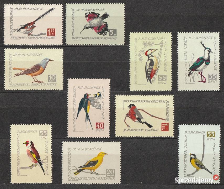 RUMUNIA PTAKI CZYSTE Łódź sprzedam